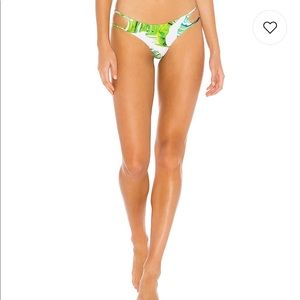 Chicago Bottom in Jungle Palms